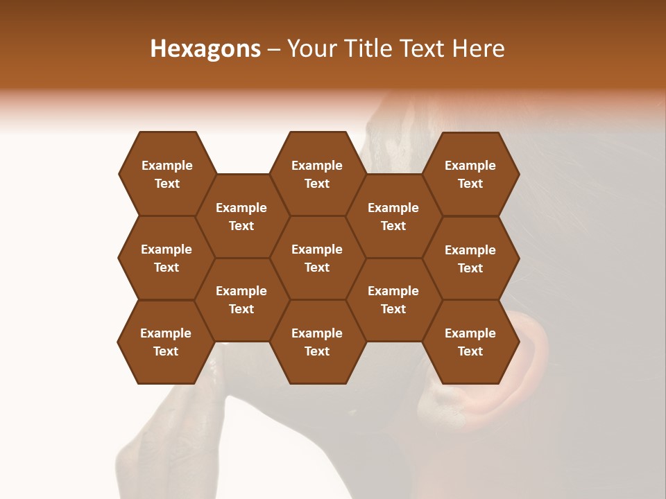 Facial Treatment (Head) PowerPoint Template