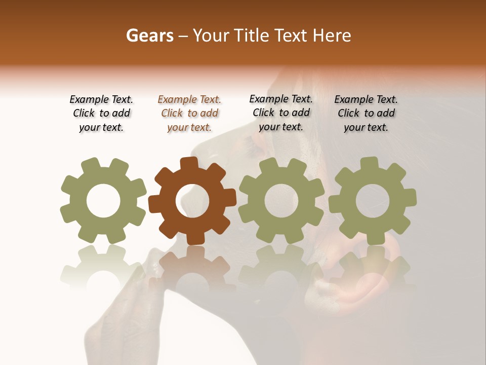 Facial Treatment (Head) PowerPoint Template