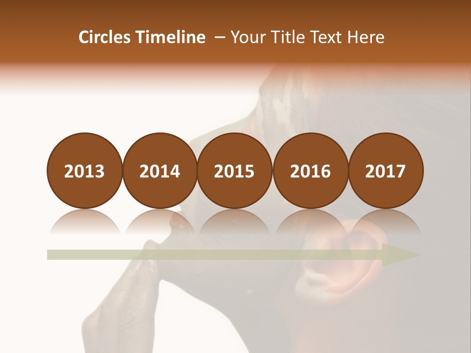 Facial Treatment (Head) PowerPoint Template