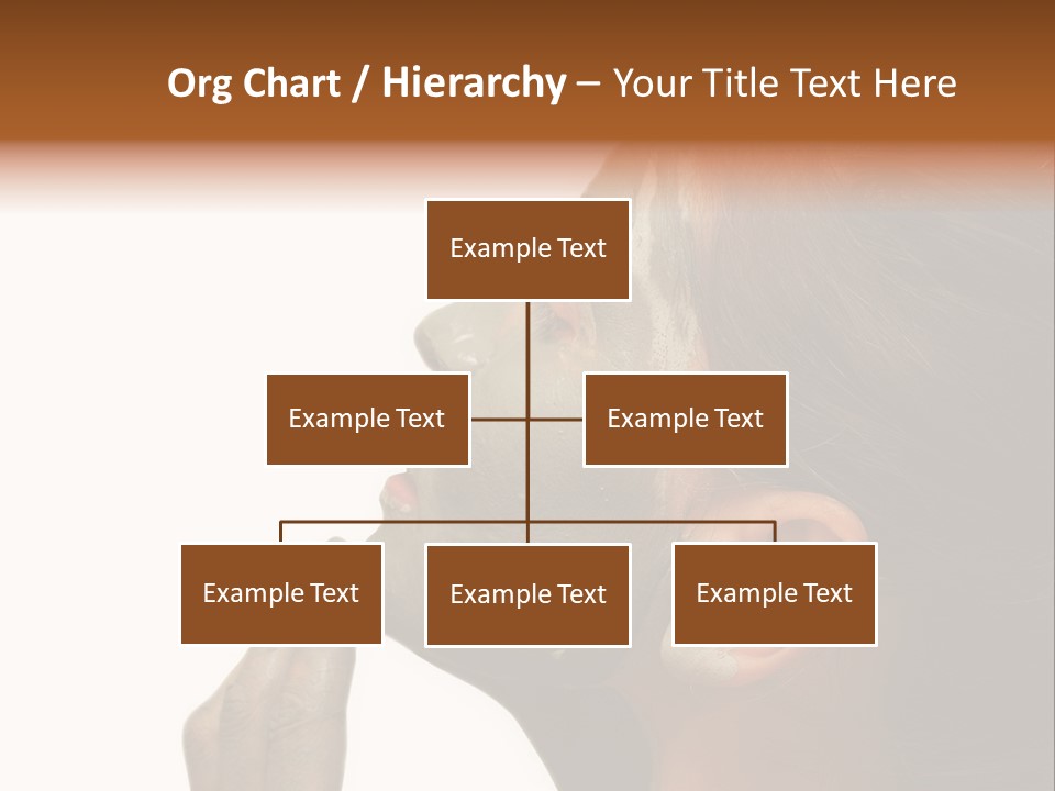Facial Treatment (Head) PowerPoint Template