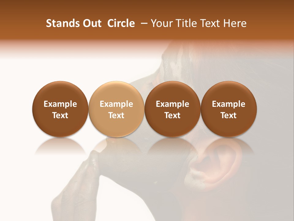 Facial Treatment (Head) PowerPoint Template