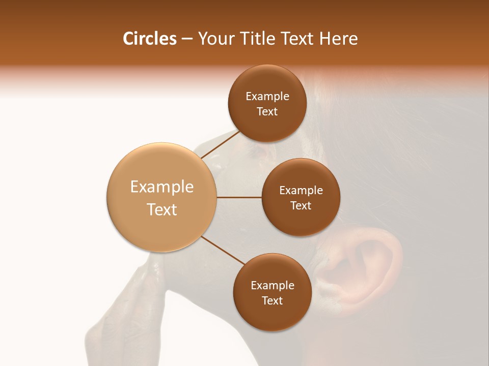 Facial Treatment (Head) PowerPoint Template