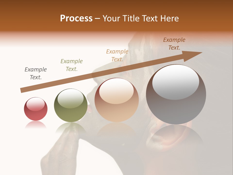 Facial Treatment (Head) PowerPoint Template