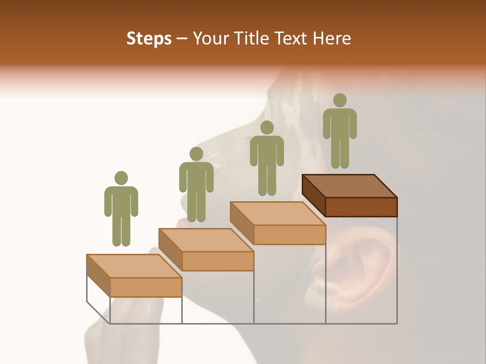 Facial Treatment (Head) PowerPoint Template