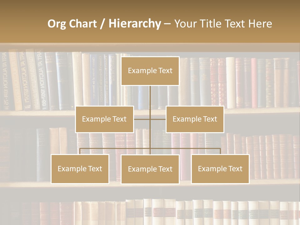 Bookcase PowerPoint Template
