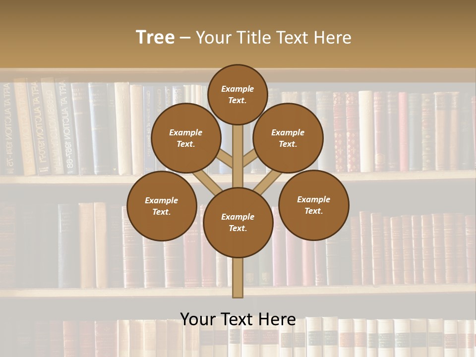 Bookcase PowerPoint Template