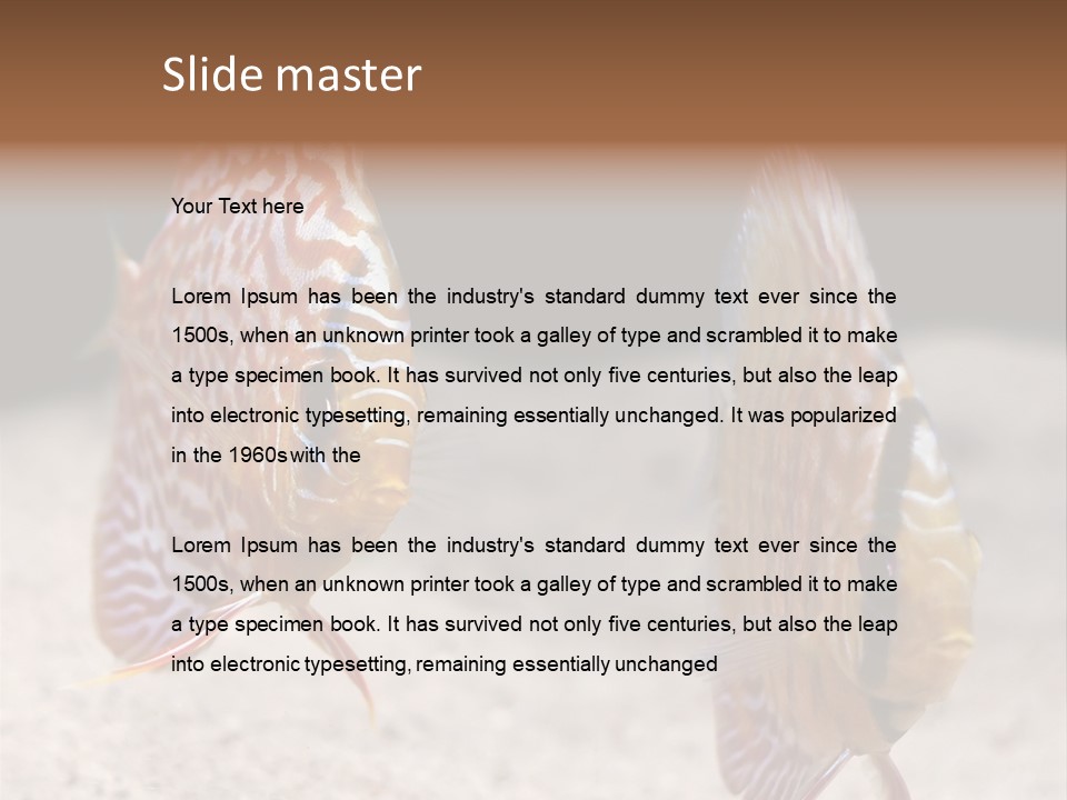 Colorful Tropical Symphysodon Discus Fish PowerPoint Template