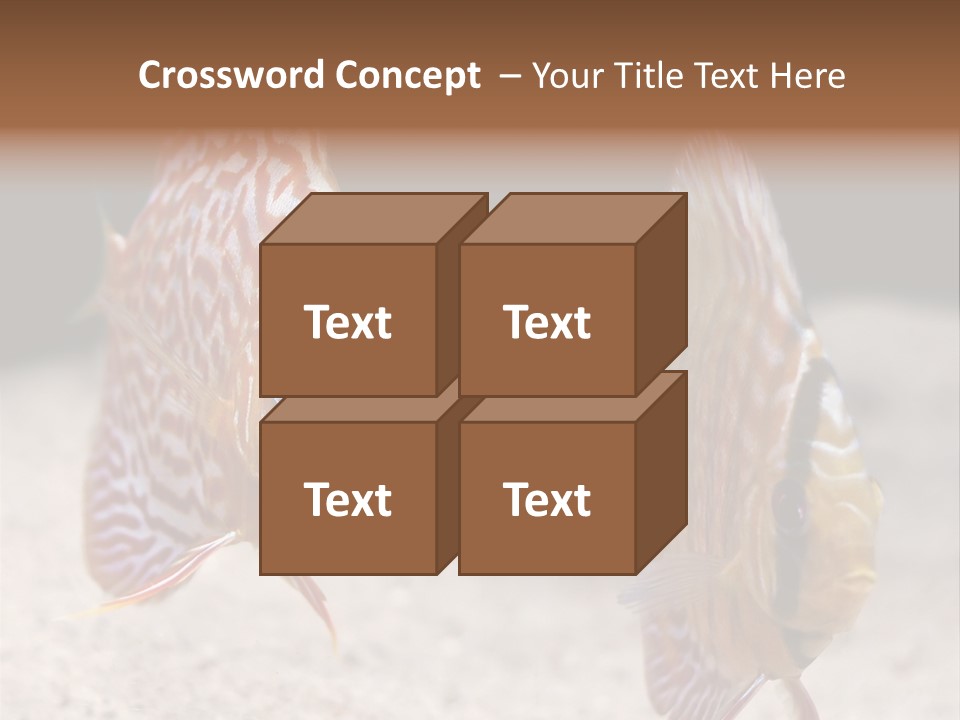 Colorful Tropical Symphysodon Discus Fish PowerPoint Template