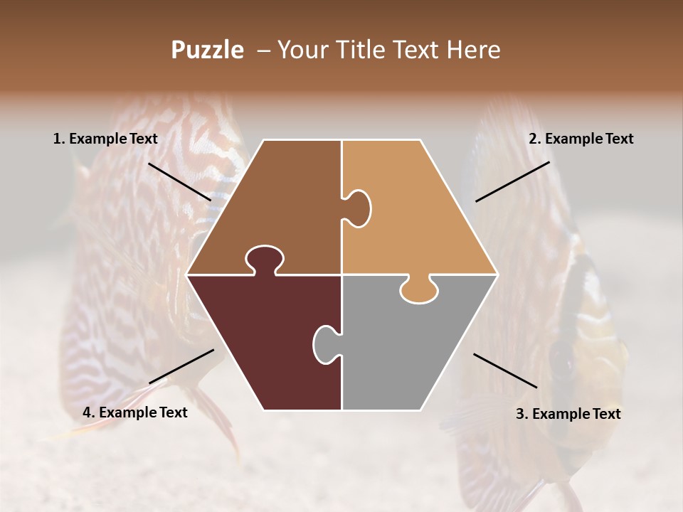 Colorful Tropical Symphysodon Discus Fish PowerPoint Template