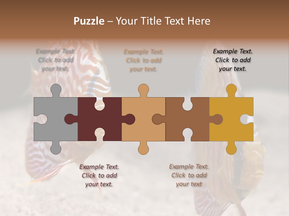 Colorful Tropical Symphysodon Discus Fish PowerPoint Template