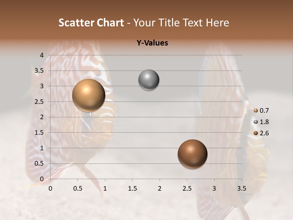 Colorful Tropical Symphysodon Discus Fish PowerPoint Template