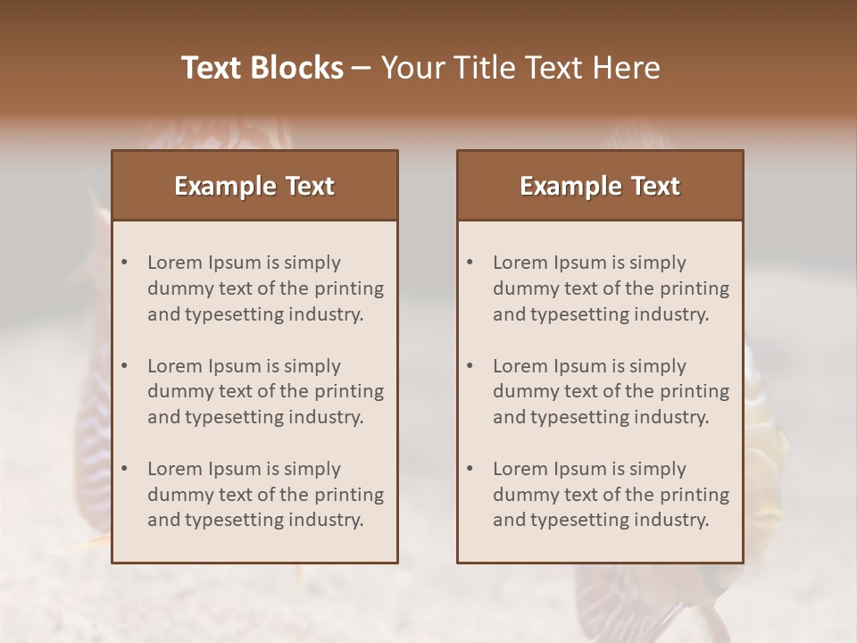Colorful Tropical Symphysodon Discus Fish PowerPoint Template
