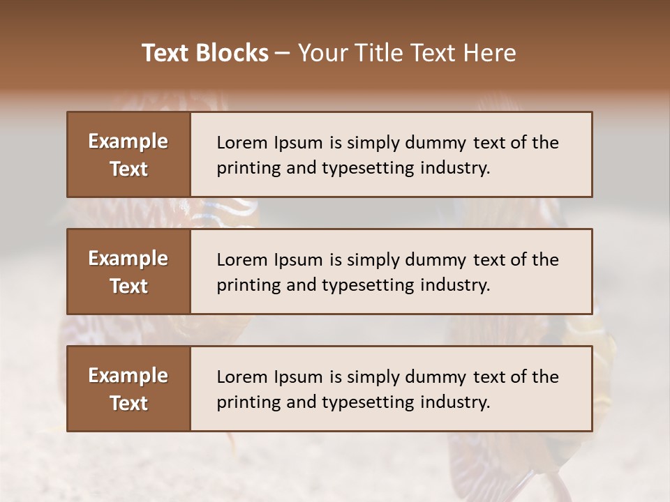 Colorful Tropical Symphysodon Discus Fish PowerPoint Template