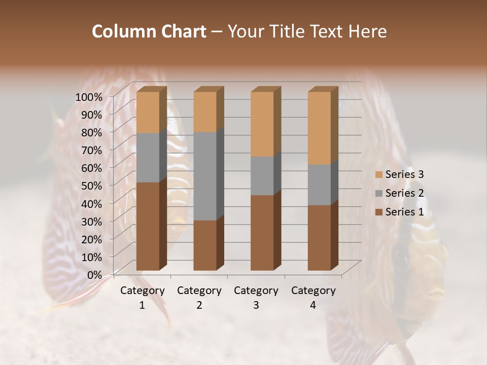 Colorful Tropical Symphysodon Discus Fish PowerPoint Template