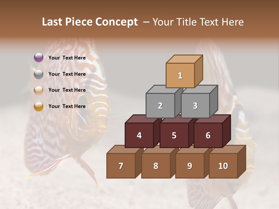 Colorful Tropical Symphysodon Discus Fish PowerPoint Template