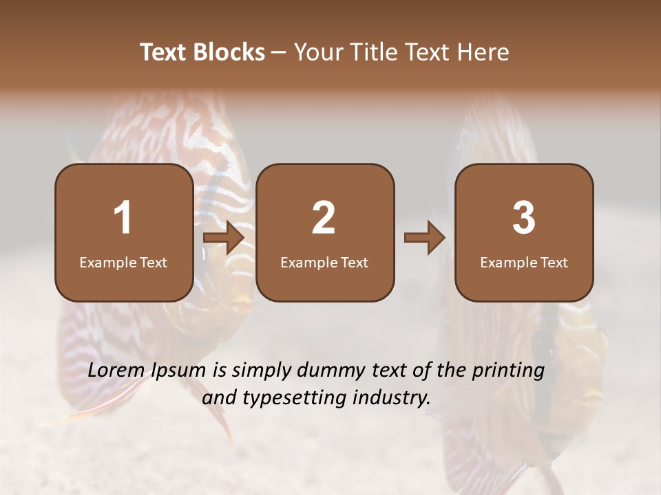 Colorful Tropical Symphysodon Discus Fish PowerPoint Template