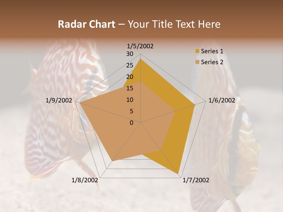 Colorful Tropical Symphysodon Discus Fish PowerPoint Template