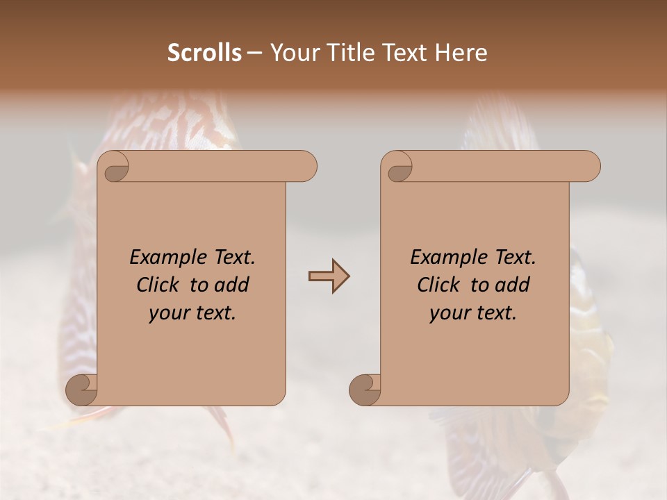 Colorful Tropical Symphysodon Discus Fish PowerPoint Template