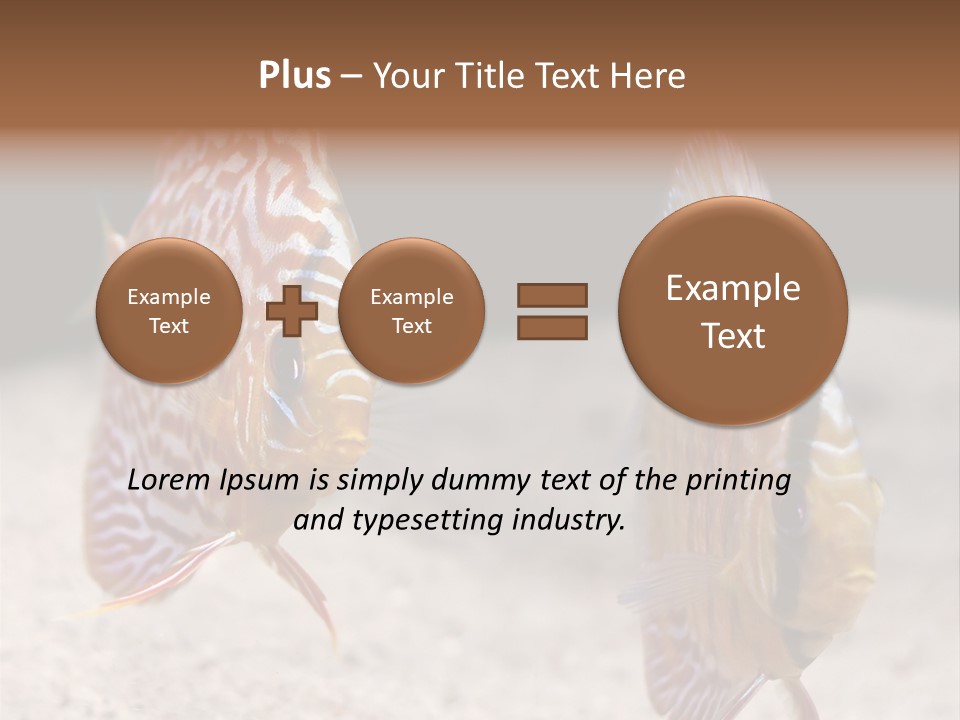 Colorful Tropical Symphysodon Discus Fish PowerPoint Template