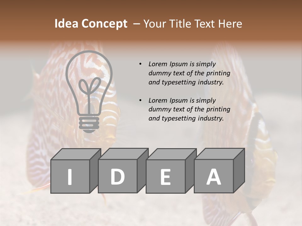 Colorful Tropical Symphysodon Discus Fish PowerPoint Template