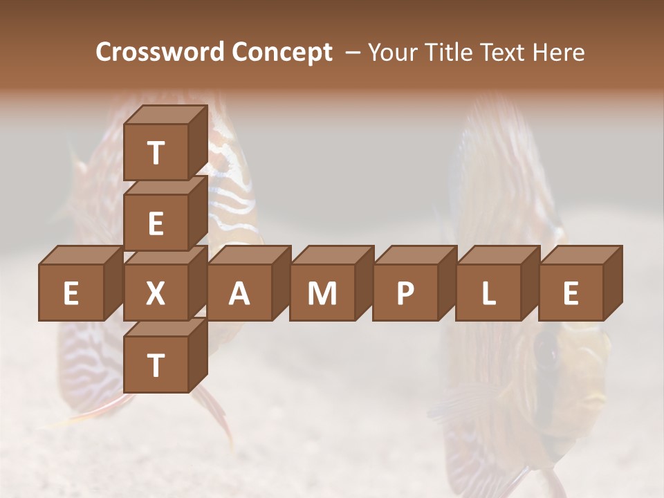 Colorful Tropical Symphysodon Discus Fish PowerPoint Template