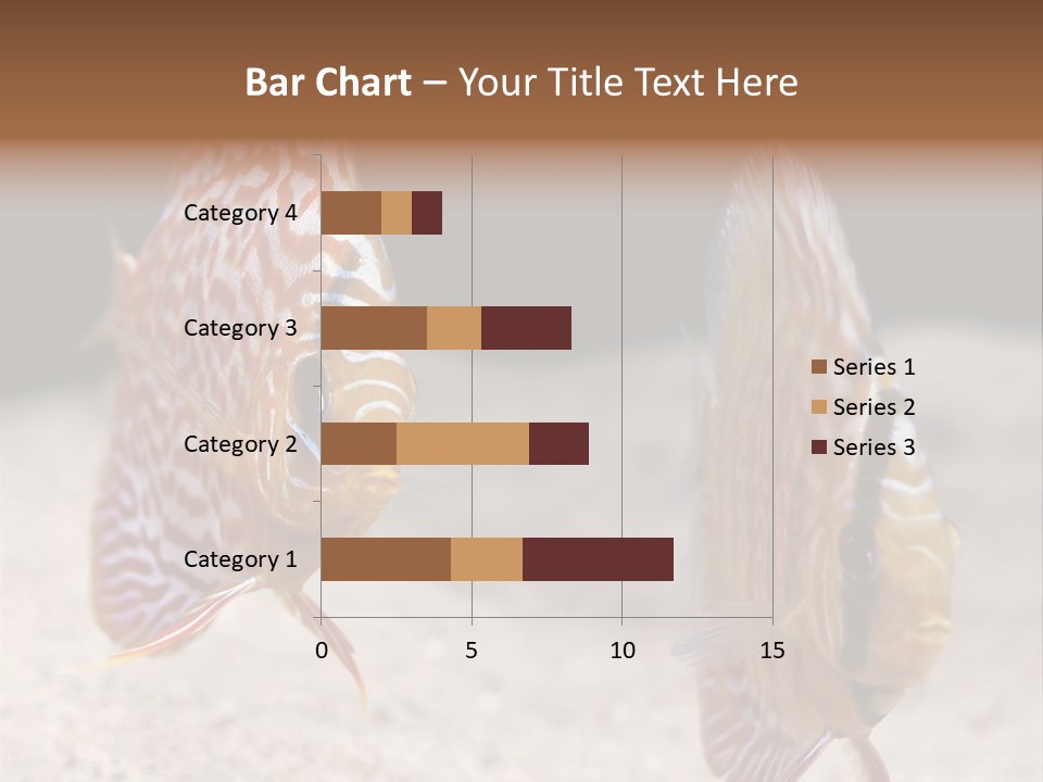 Colorful Tropical Symphysodon Discus Fish PowerPoint Template