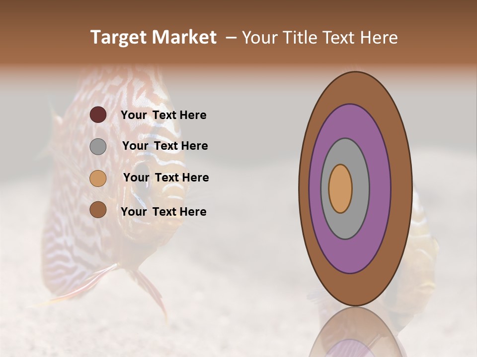 Colorful Tropical Symphysodon Discus Fish PowerPoint Template