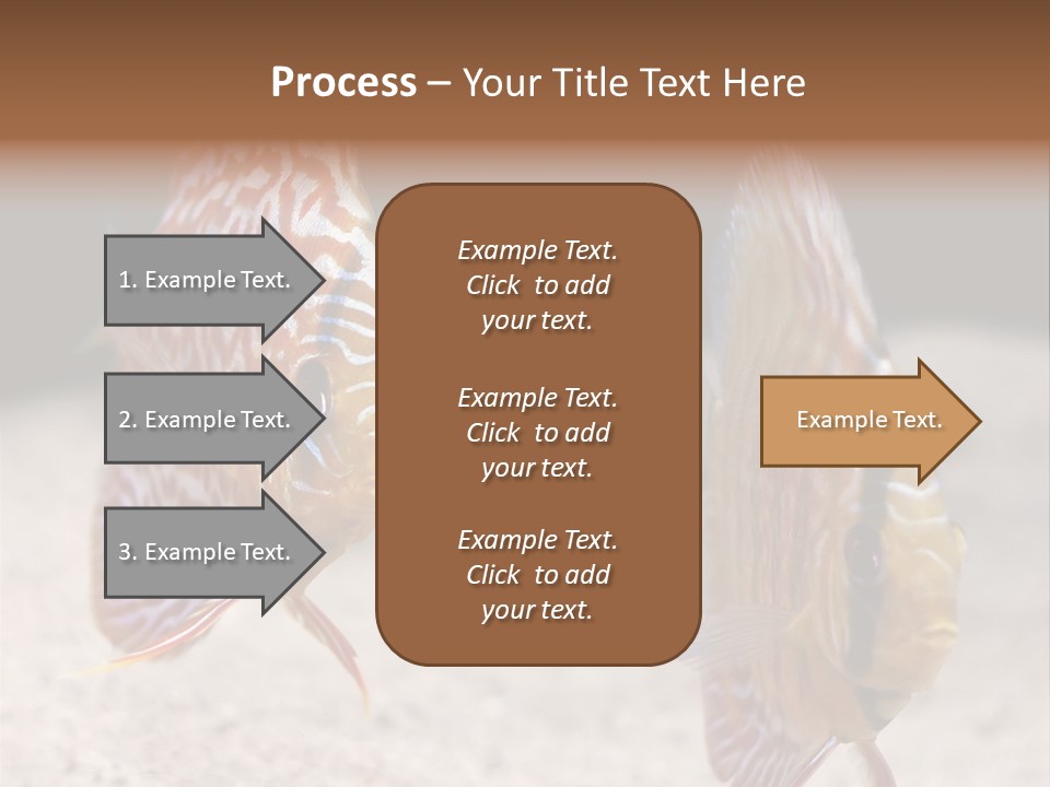 Colorful Tropical Symphysodon Discus Fish PowerPoint Template