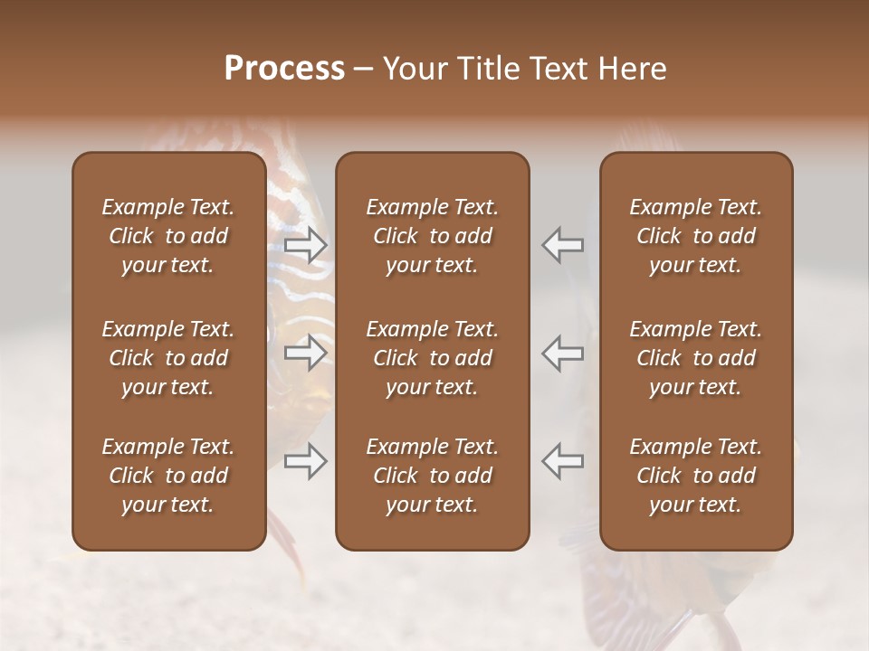 Colorful Tropical Symphysodon Discus Fish PowerPoint Template