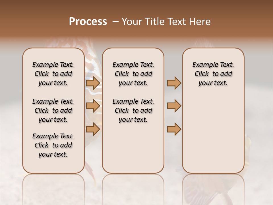Colorful Tropical Symphysodon Discus Fish PowerPoint Template