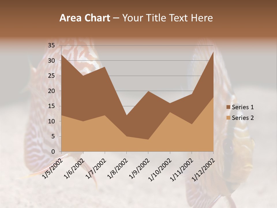 Colorful Tropical Symphysodon Discus Fish PowerPoint Template