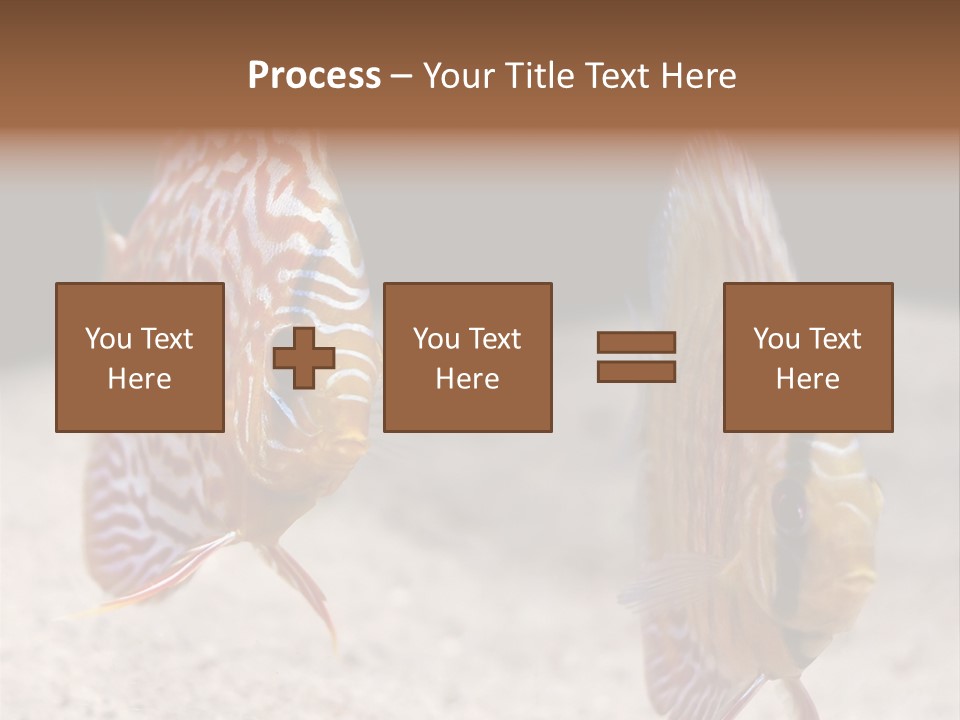 Colorful Tropical Symphysodon Discus Fish PowerPoint Template