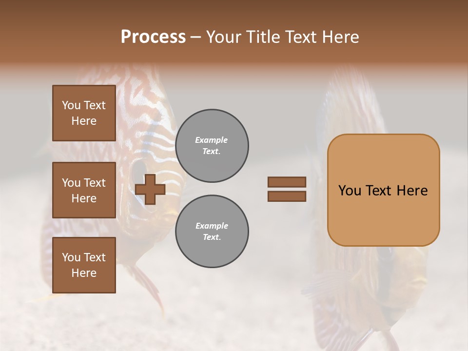 Colorful Tropical Symphysodon Discus Fish PowerPoint Template