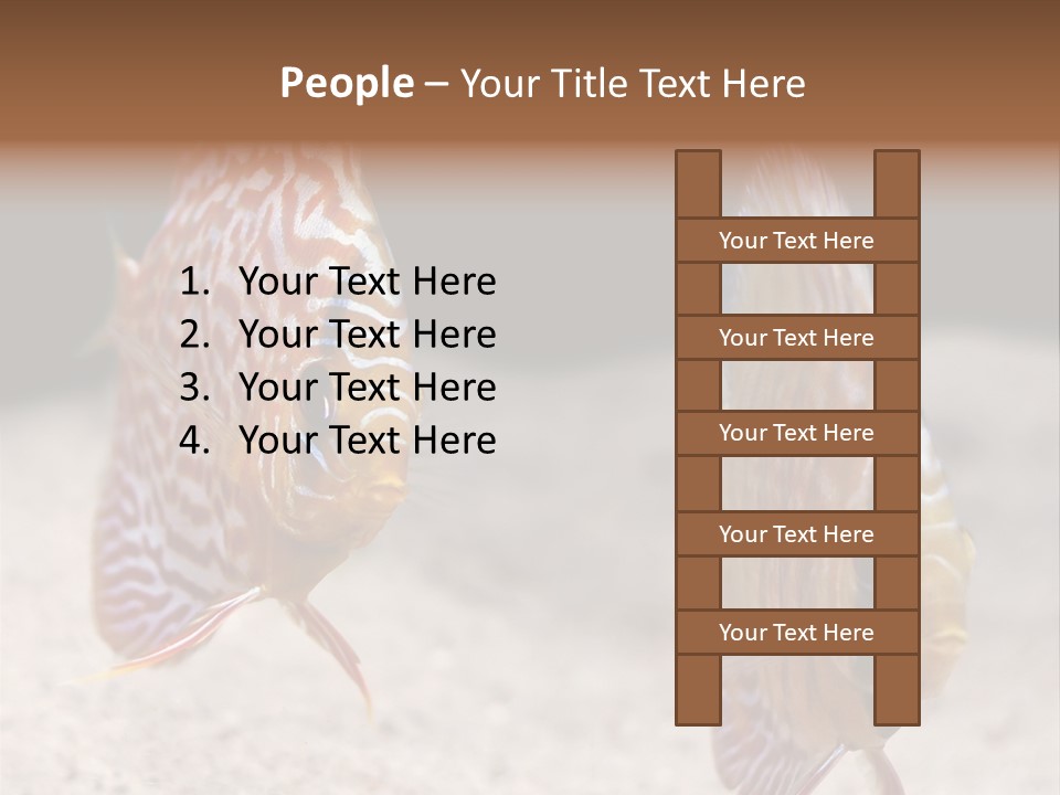 Colorful Tropical Symphysodon Discus Fish PowerPoint Template