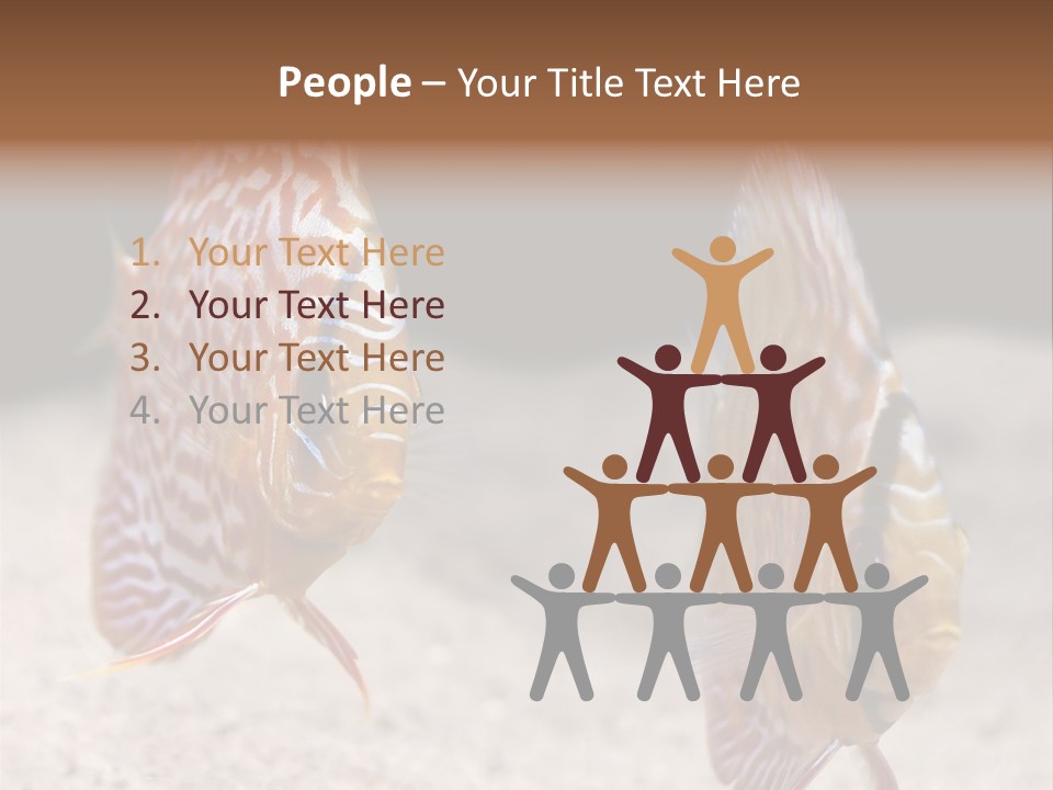 Colorful Tropical Symphysodon Discus Fish PowerPoint Template