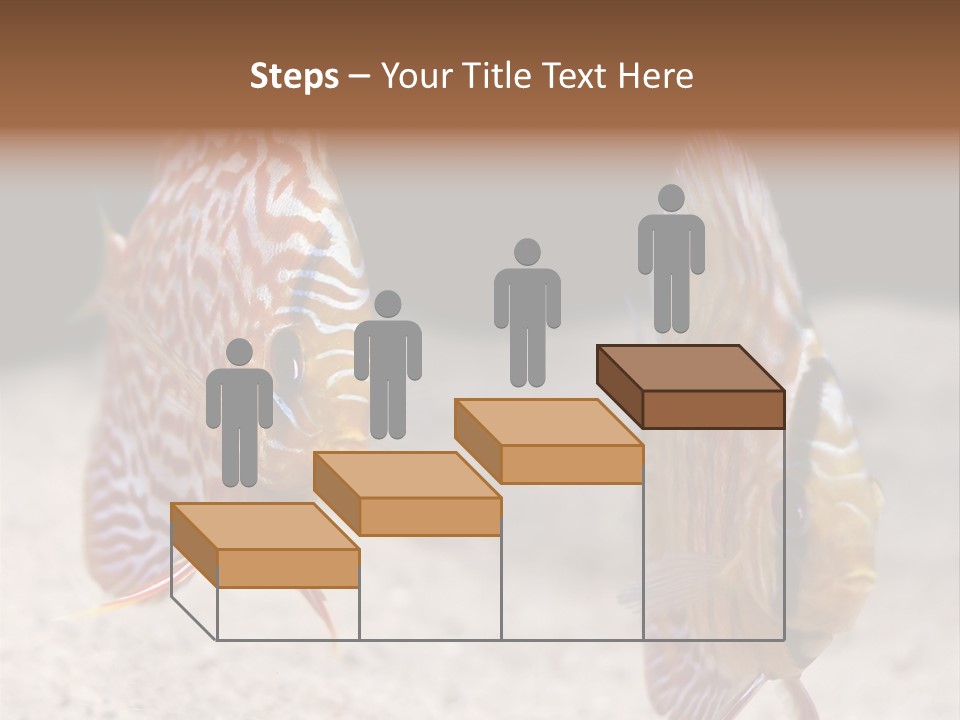 Colorful Tropical Symphysodon Discus Fish PowerPoint Template