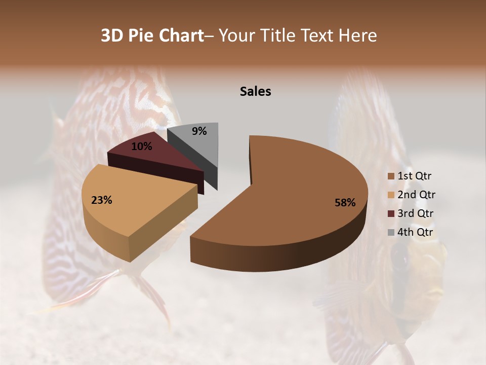 Colorful Tropical Symphysodon Discus Fish PowerPoint Template