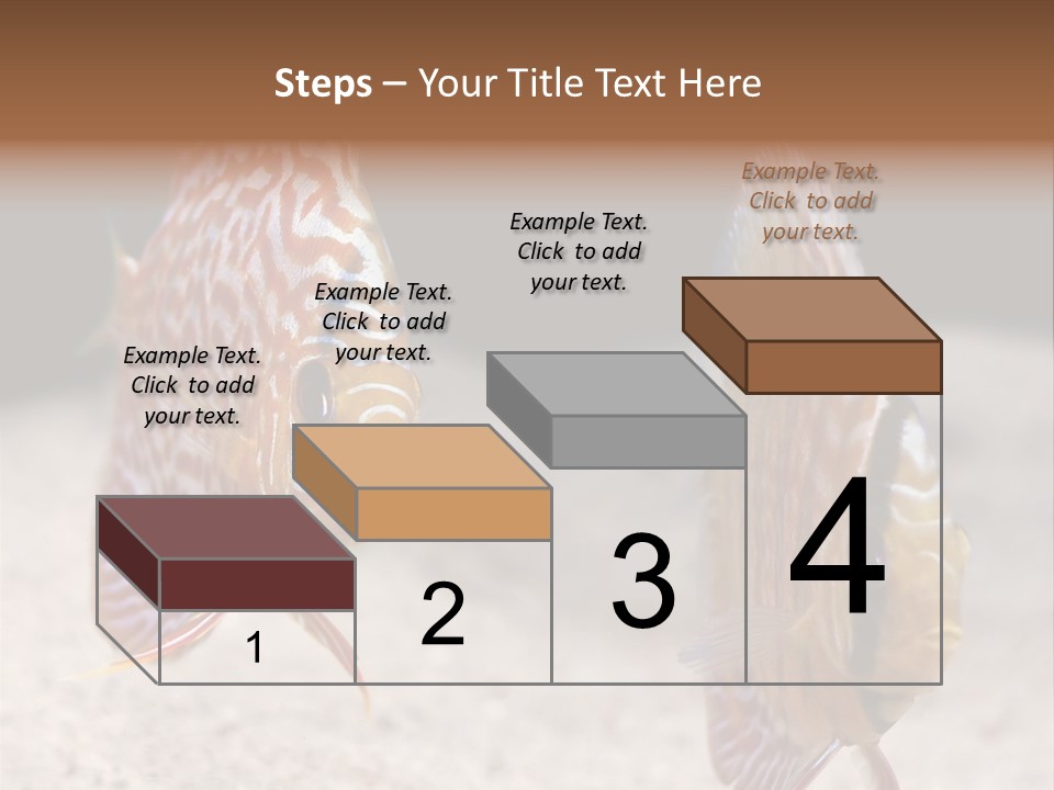 Colorful Tropical Symphysodon Discus Fish PowerPoint Template