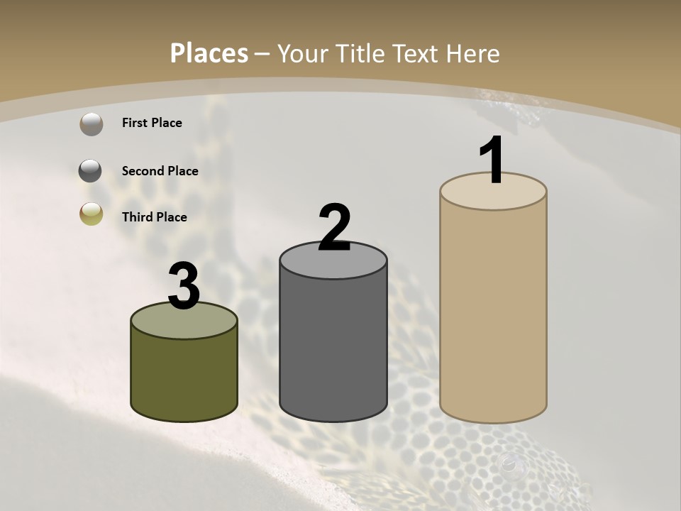 Colorful Spotted Tropical Catfish Swimming In Aquarium PowerPoint Template