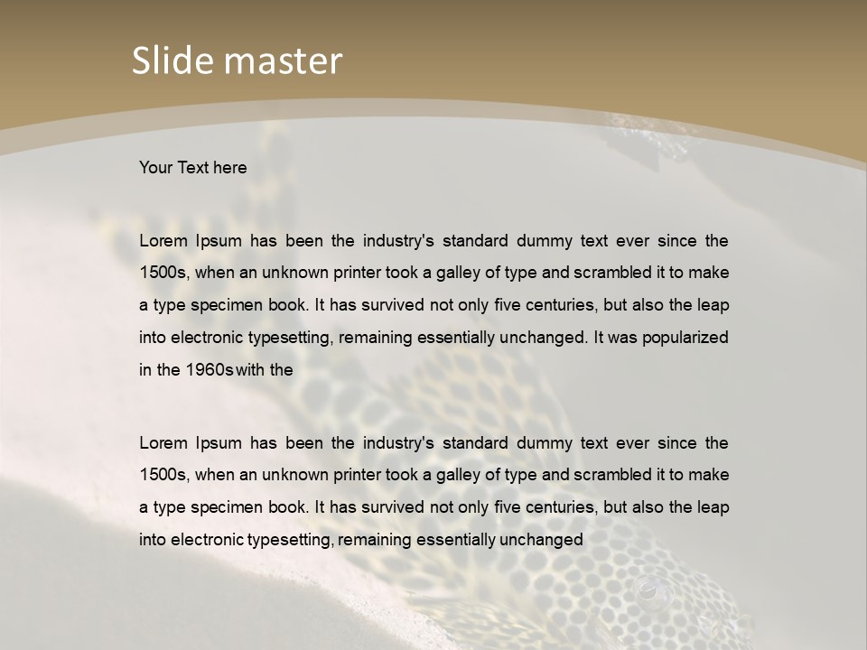 Colorful Spotted Tropical Catfish Swimming In Aquarium PowerPoint Template