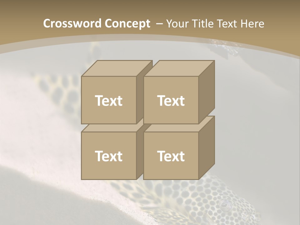 Colorful Spotted Tropical Catfish Swimming In Aquarium PowerPoint Template