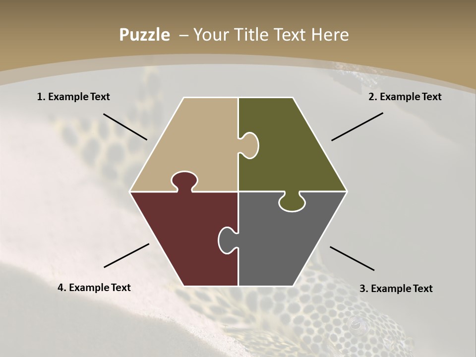 Colorful Spotted Tropical Catfish Swimming In Aquarium PowerPoint Template