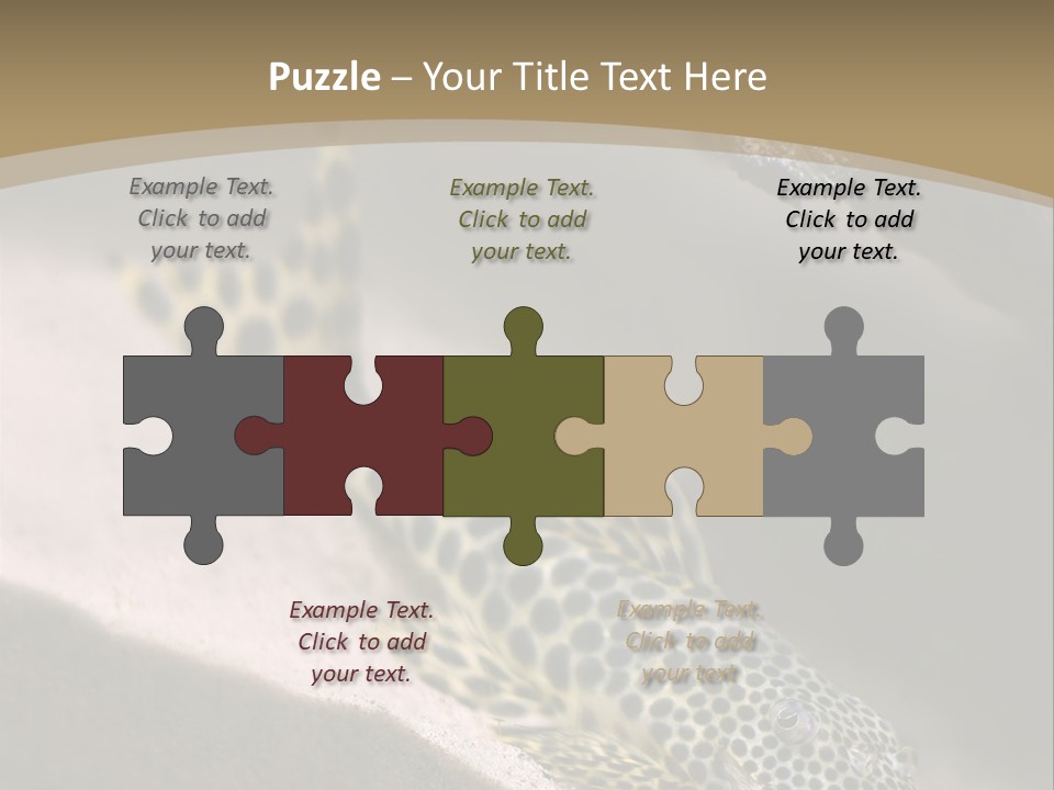 Colorful Spotted Tropical Catfish Swimming In Aquarium PowerPoint Template