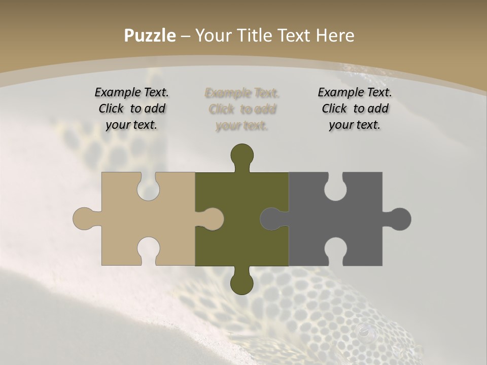 Colorful Spotted Tropical Catfish Swimming In Aquarium PowerPoint Template