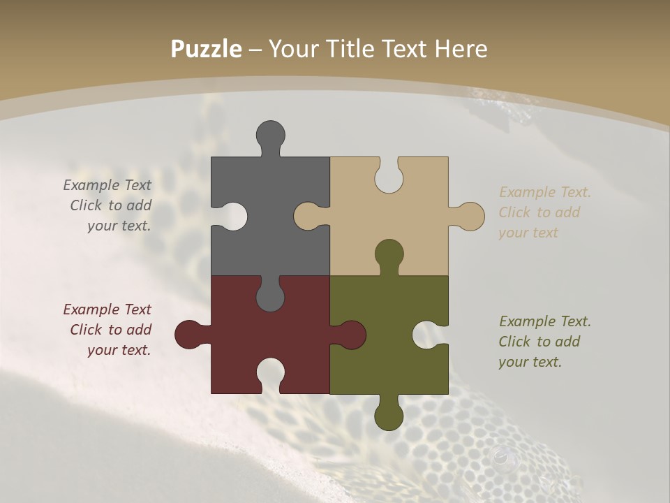 Colorful Spotted Tropical Catfish Swimming In Aquarium PowerPoint Template