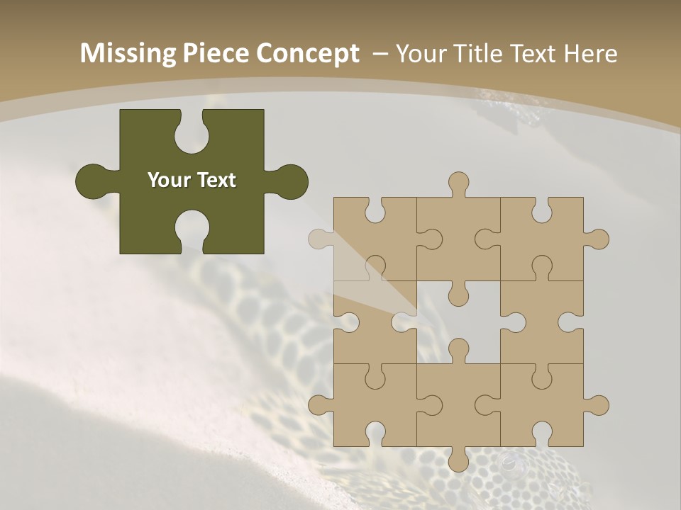 Colorful Spotted Tropical Catfish Swimming In Aquarium PowerPoint Template