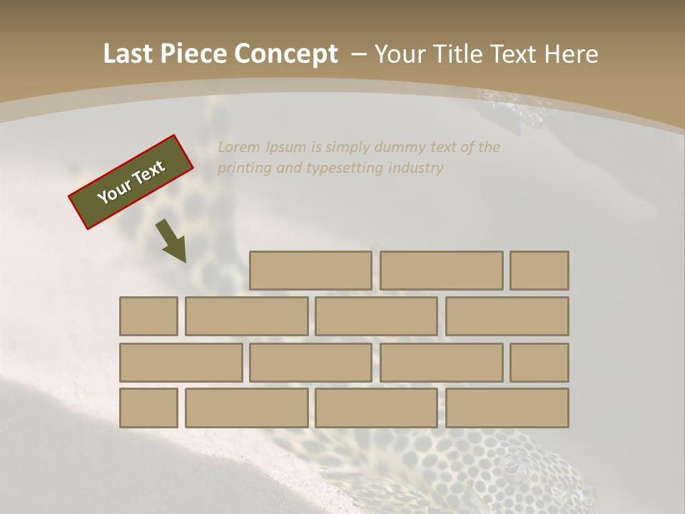 Colorful Spotted Tropical Catfish Swimming In Aquarium PowerPoint Template