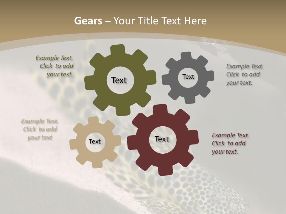 Colorful Spotted Tropical Catfish Swimming In Aquarium PowerPoint Template