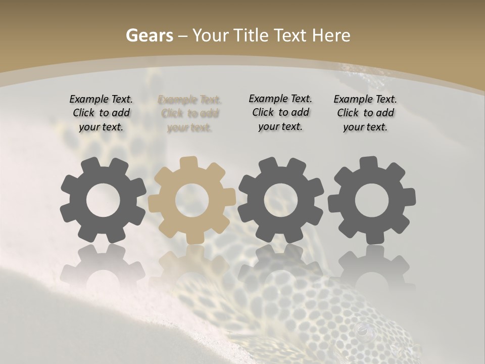 Colorful Spotted Tropical Catfish Swimming In Aquarium PowerPoint Template