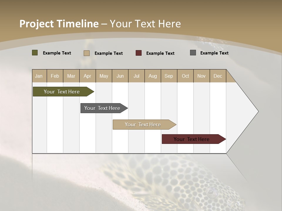 Colorful Spotted Tropical Catfish Swimming In Aquarium PowerPoint Template